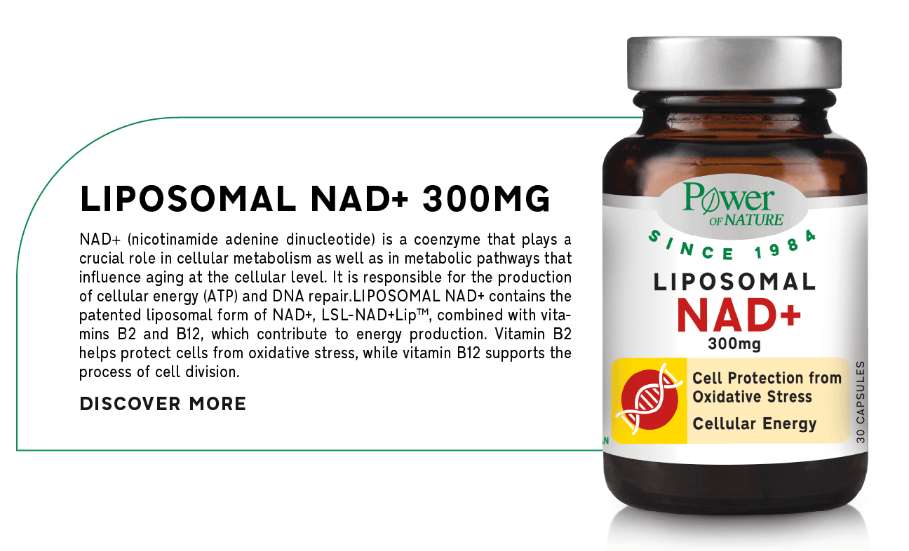 07_Liposomal NAD+ 300mg_new_product-EN