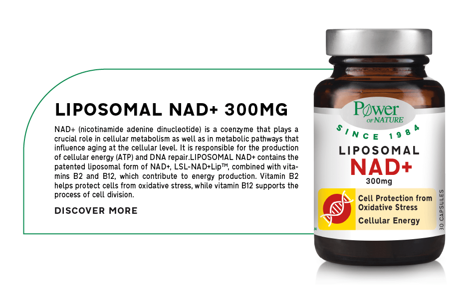07_Liposomal NAD+ 300mg_new_product_MOBILE-EN